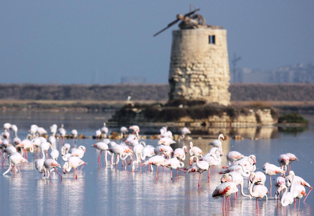 Appartamenti Trapani Mare Ngoại thất bức ảnh